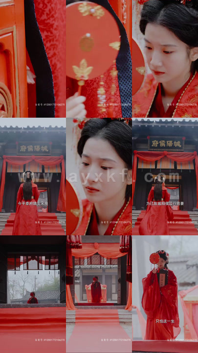 6207-缚春情(74集)