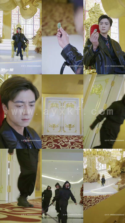 6008-并封帝尊(79集)