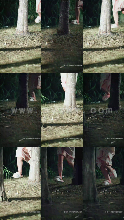 6338-天才宝贝是月老(95集)