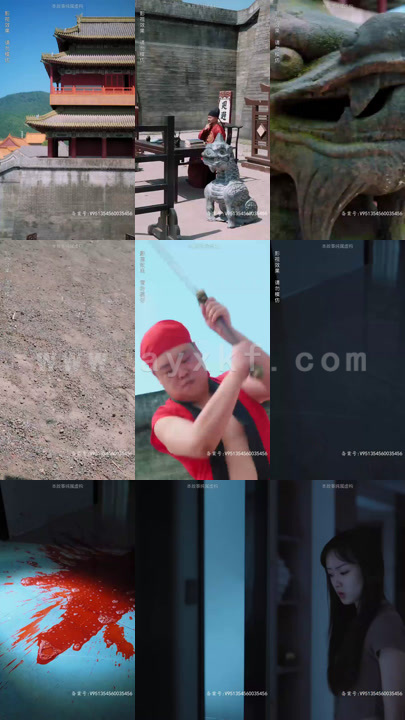 6041-神探诡事录(100集)