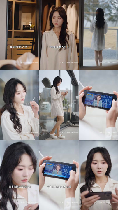 5631-我们爱过又忘记(101集)