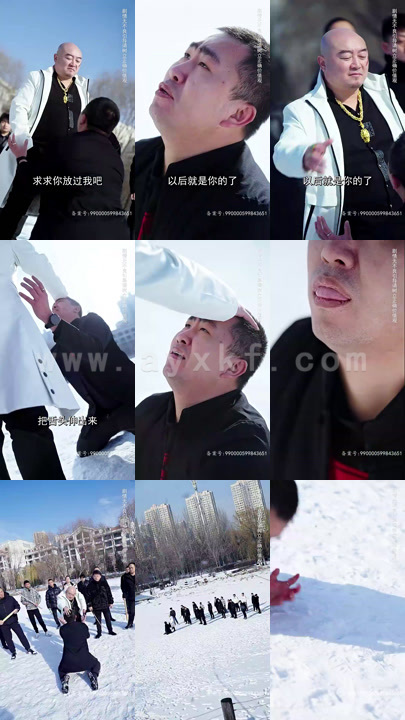 6441-天下第二 (100集)