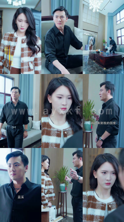 6593-总裁的罪奴娇妻(100集)