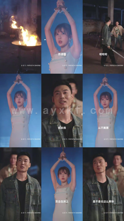 6157-大夏龙主(81集)