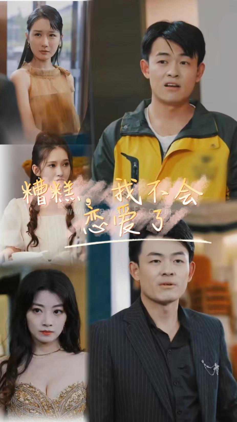 6562-糟糕-我不会恋爱了(100集) 最新 图1张