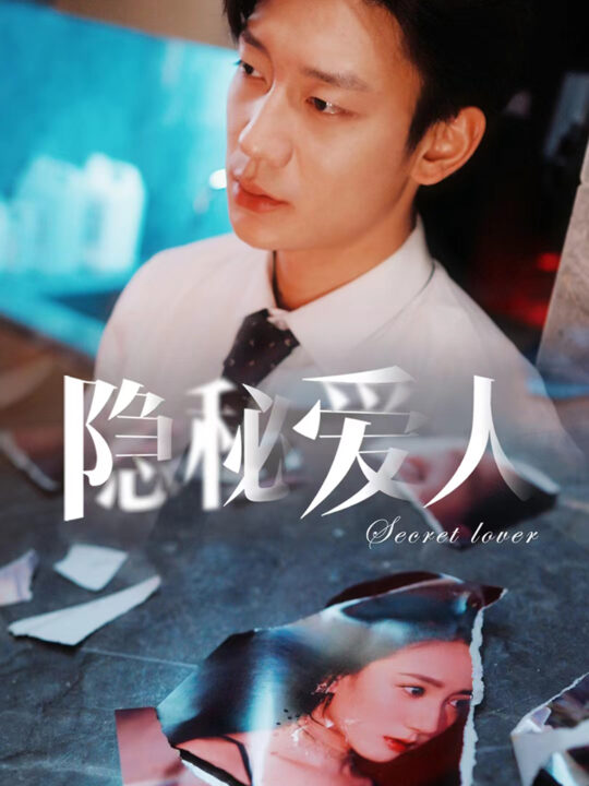 6377-隐秘爱人(90集)鹿单东