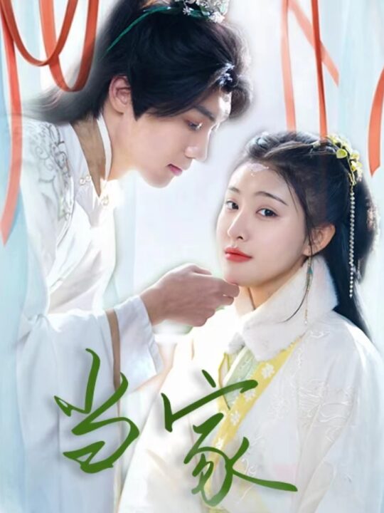 6315-傻子王爷娇宠妃&当家(50集)