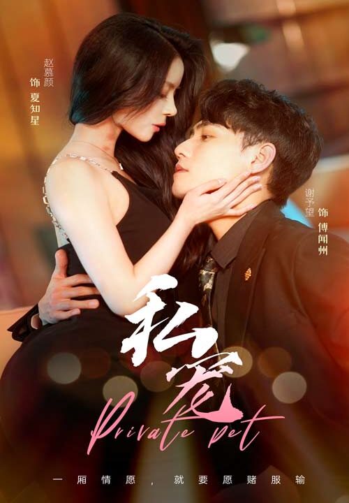 6175-私宠(94集)谢予望 赵慕颜
