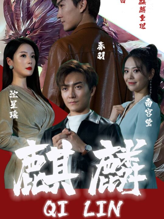 6508-新版-麒麟(90集)