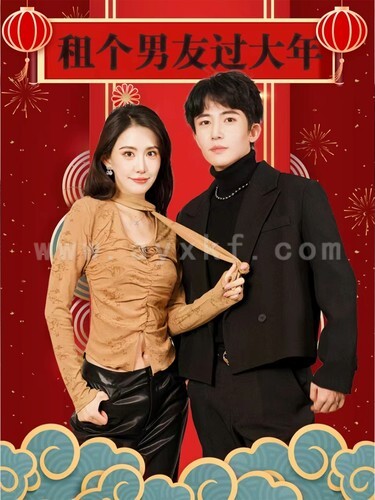 6285-租个男友过大年(80集)