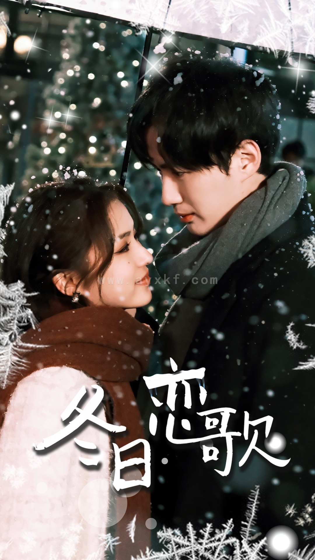 6523-冬日恋歌(90集) 最新 图1张