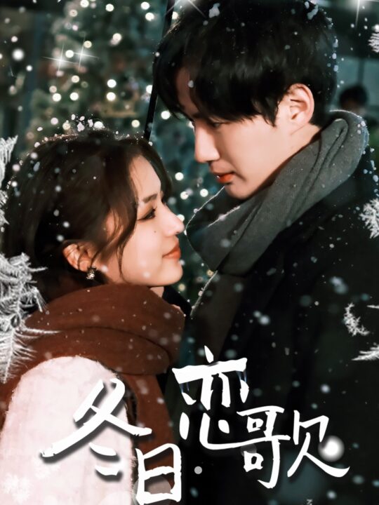 6523-冬日恋歌(90集)