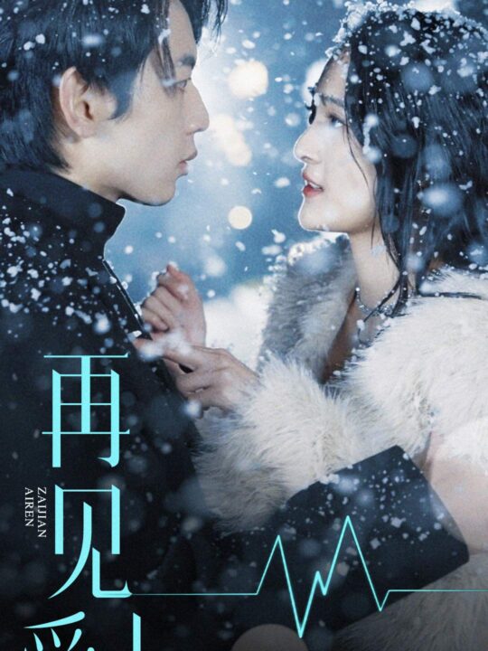 6357-再见爱人(84集)