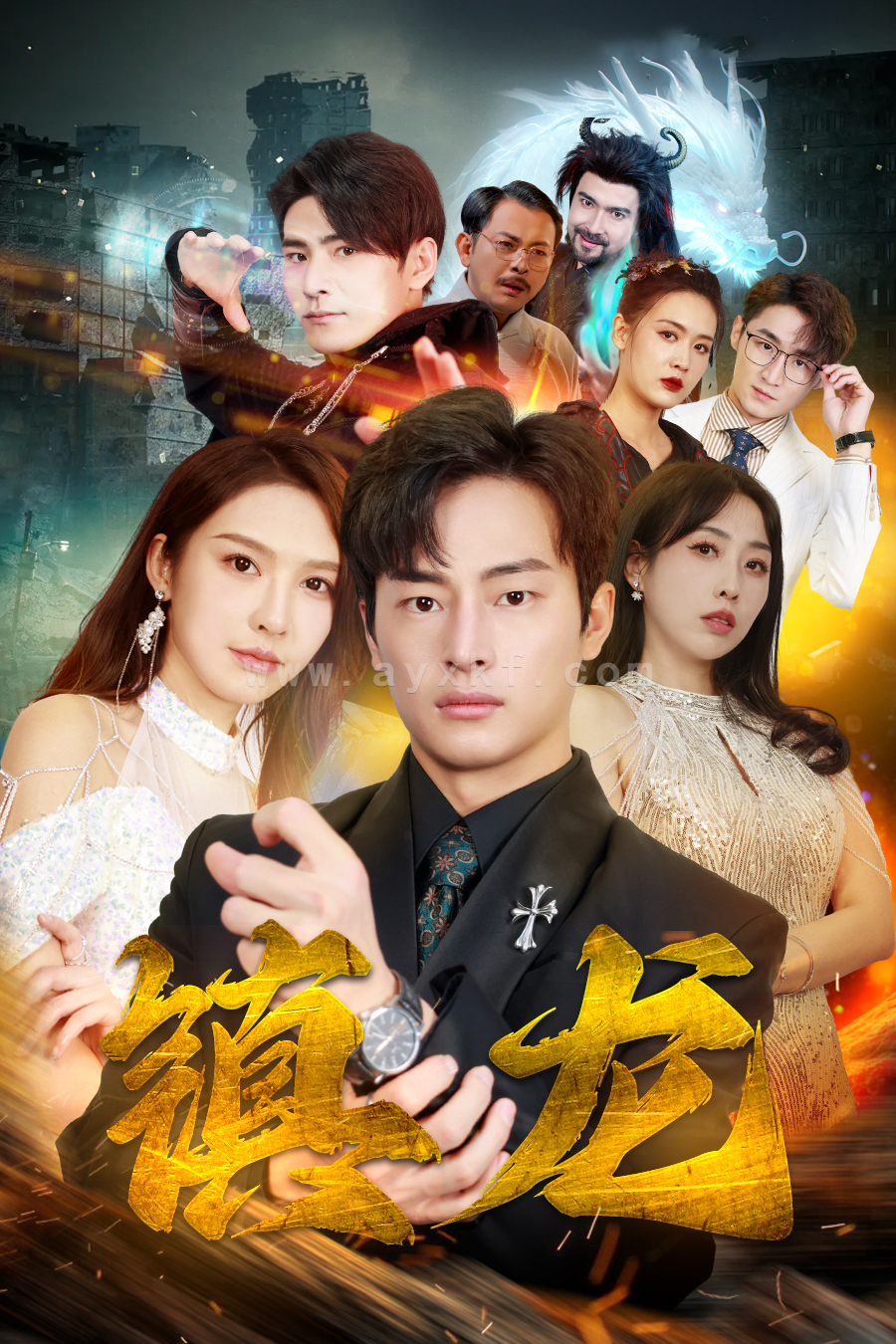 6528-最新版-镇龙(100集) 最新 图1张