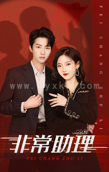 6254-非常助理(102集)