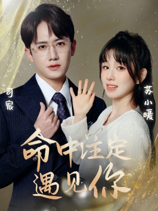 6587-命中注定遇见你(96集)