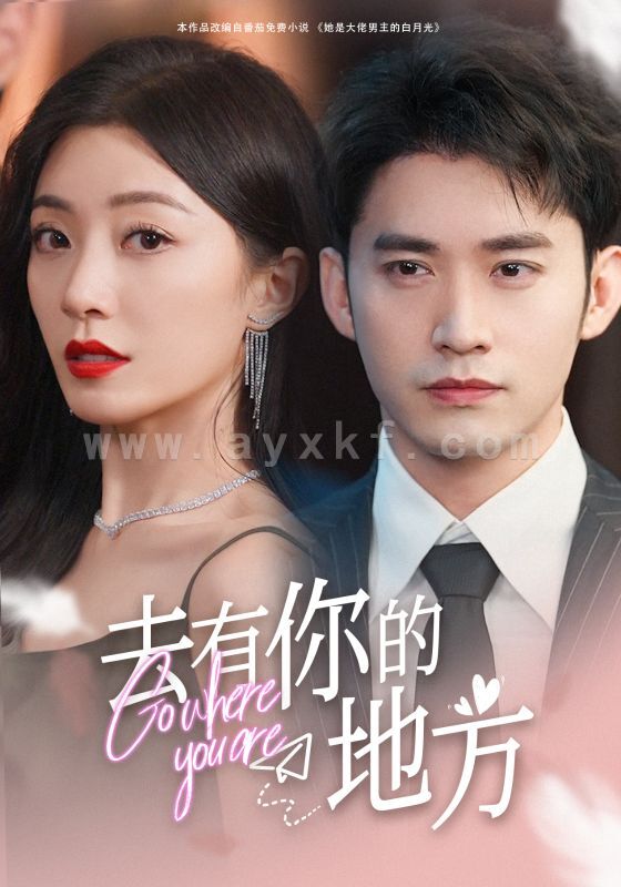 6300-去有你的地方(74集) 最新 图1张