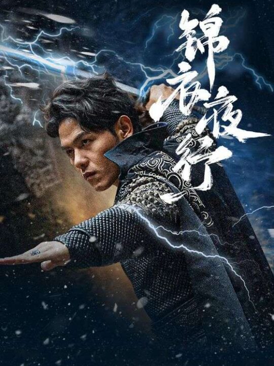 6612-锦衣夜行(100集)