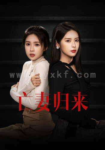 6095-亡妻归来(85集)