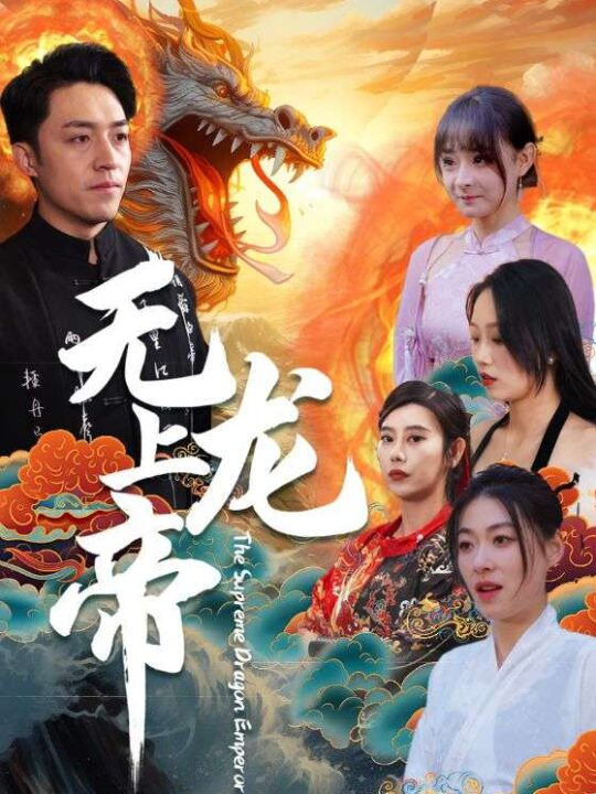 6539-无上龙帝(94集)