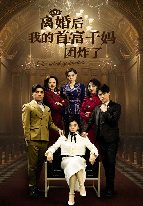 6536-离婚后我的首富干妈团炸了(99集)