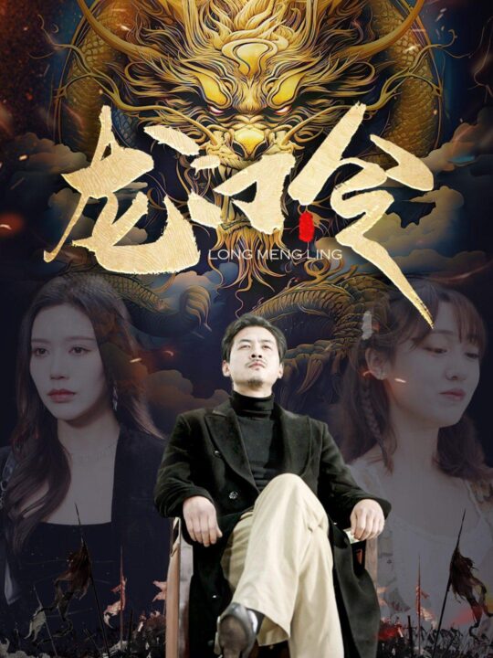 6556-龙门令(96集)