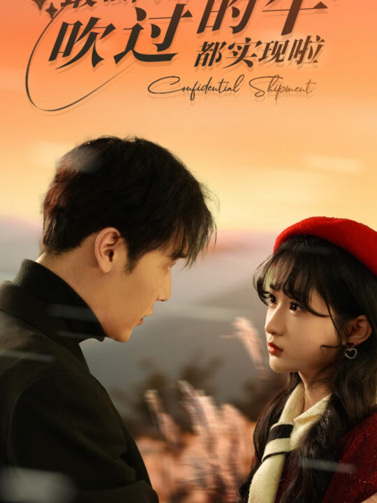 6636-最强闪婚-吹过的牛都实现啦(97集)