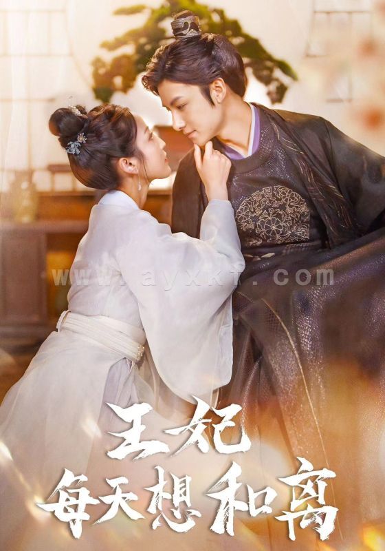 6023-王妃每天想和离(97集) 最新 图1张