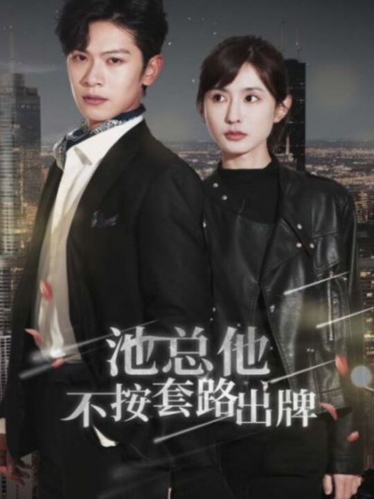 6559-池总他不按套路出牌(100集)