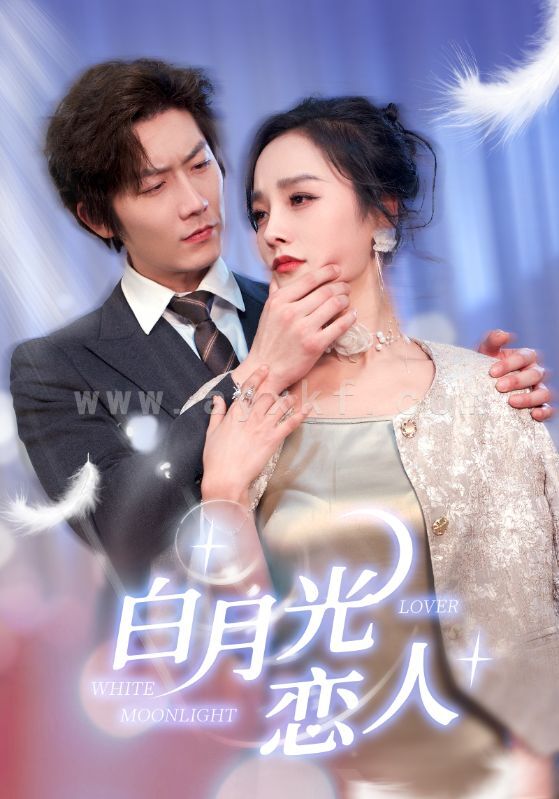 6630-白月光恋人(100集) 最新 图1张