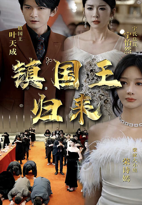 6376-镇国王归来(95集)