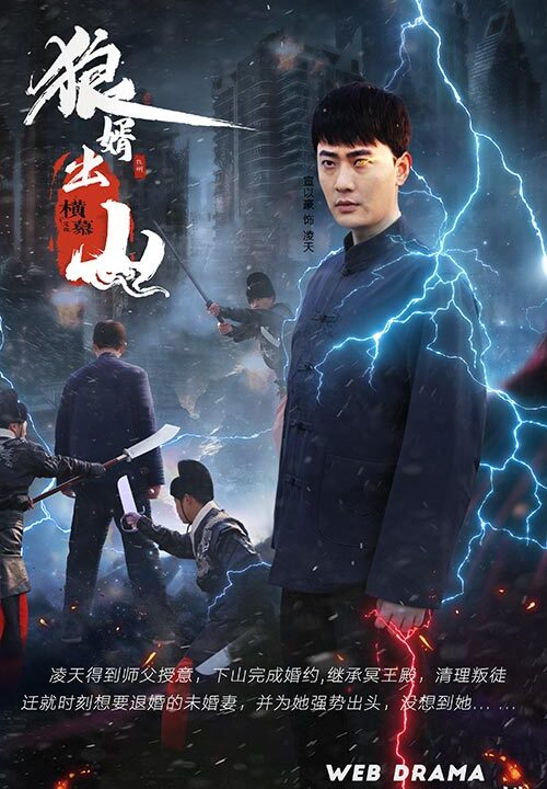 6511-狼婿出山(90集)