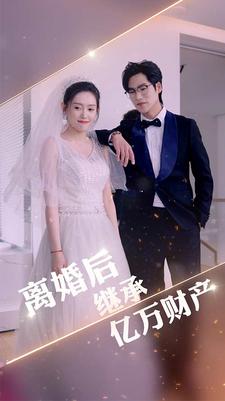 6014-离婚后继承亿万财产(100集)