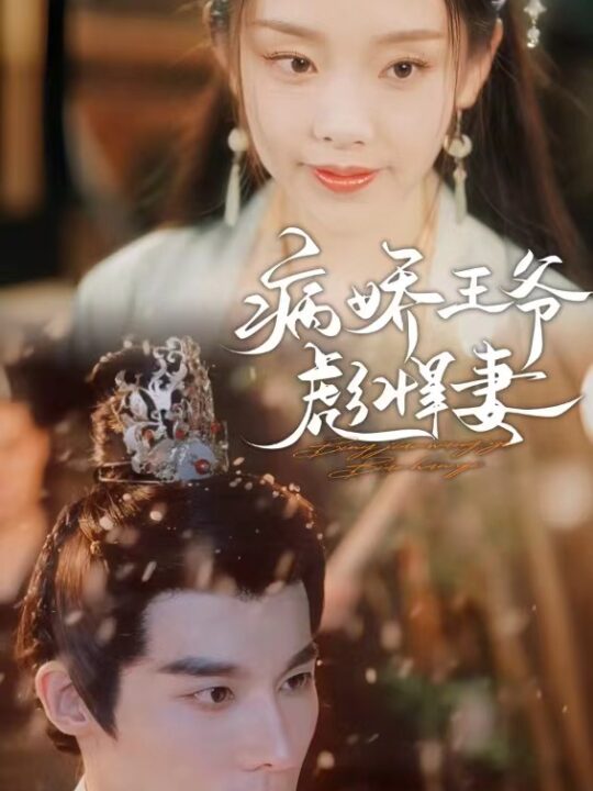 6431-病娇王爷彪悍妻(100集)