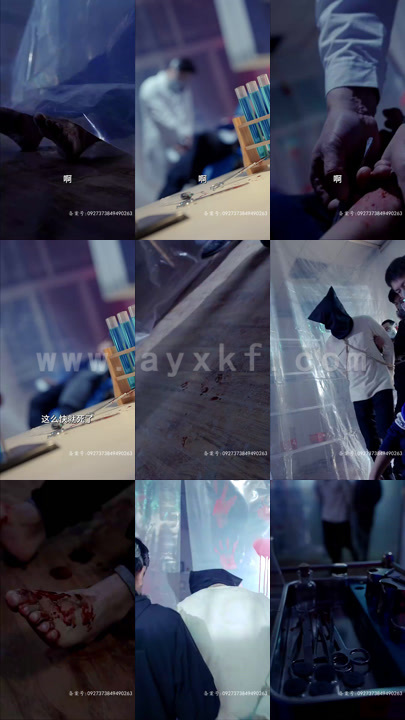 5321-除间令(95集)