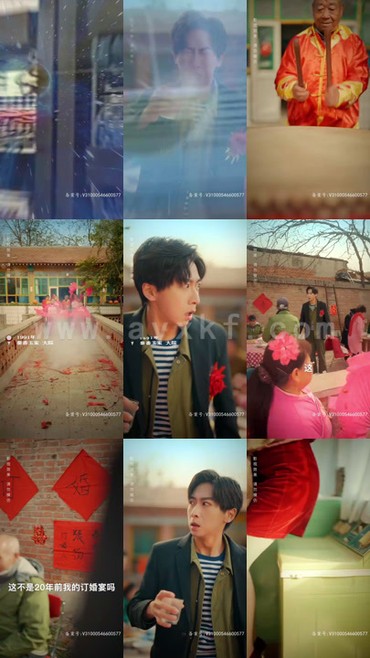 5227-回档人生之1991张扬 长篇