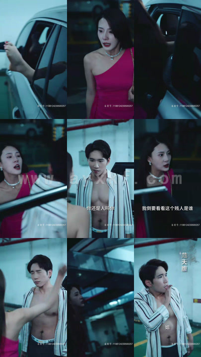 5268-不辞春色(96集)