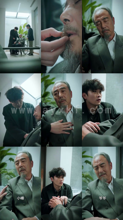 4781-摊牌了-我是林家大少爷(新-医仙神婿)(102集)