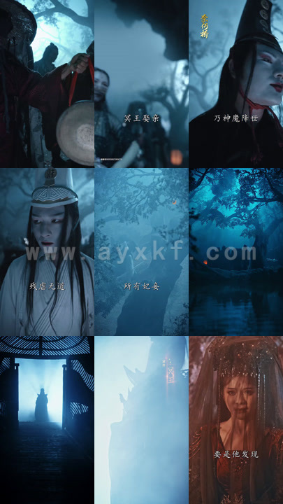 5461-不负昭华(52集)