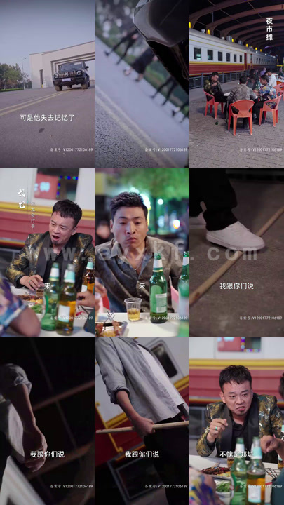 4661-叶家弃少(113集)