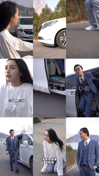 4882-爱过你恨过你(30集)