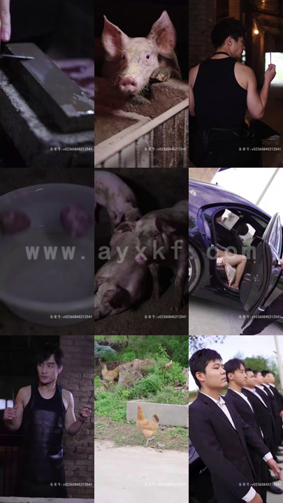 4316-前任之亢龙有悔(分手后-女友抱着大腿求复合)(57集) 内容图1 一个实时收录全网最齐全的短视频短剧网剧小剧场的网站! 4316-前任之亢龙有悔(分手后-女友抱着大腿求复合)(57集) 最新 图1张