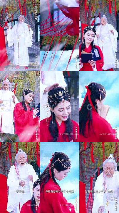 4528-红娘下凡追夫记(100集)