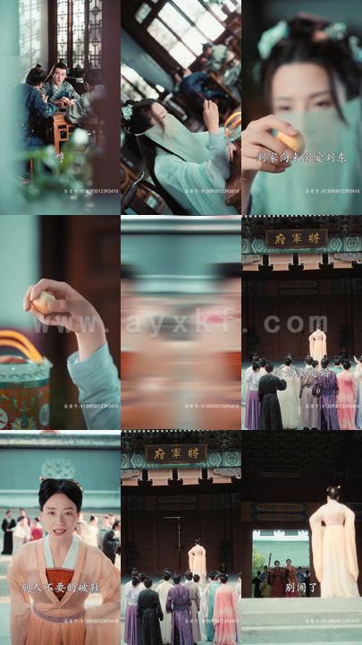 3813-重生之嫡女不好惹(84集)