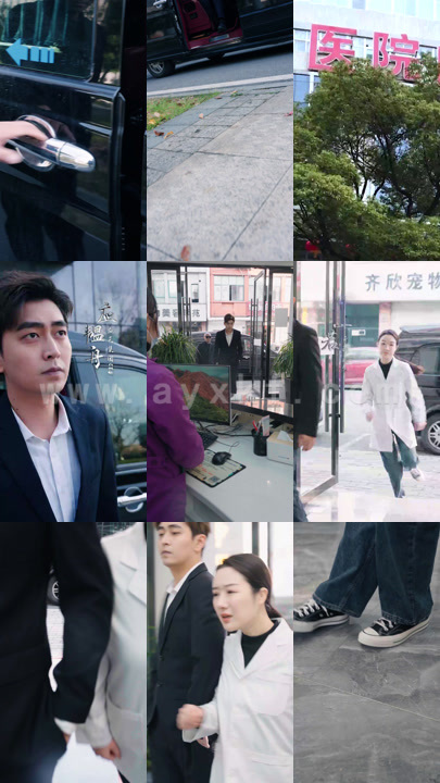 4086-三千佳丽应少独宠我(100集)