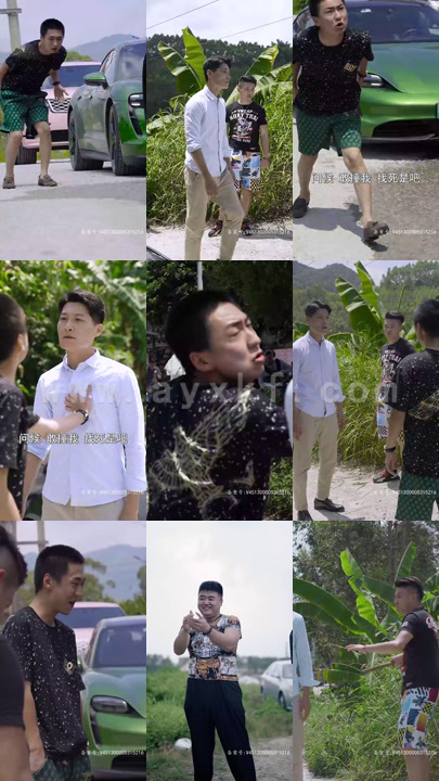 3916-狂龙之逆鳞(70集)