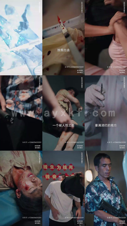 3611-潜伏(102集) 最新 图1张