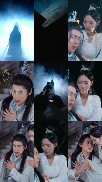 4311-贺总夫人又去摆摊了(80集)