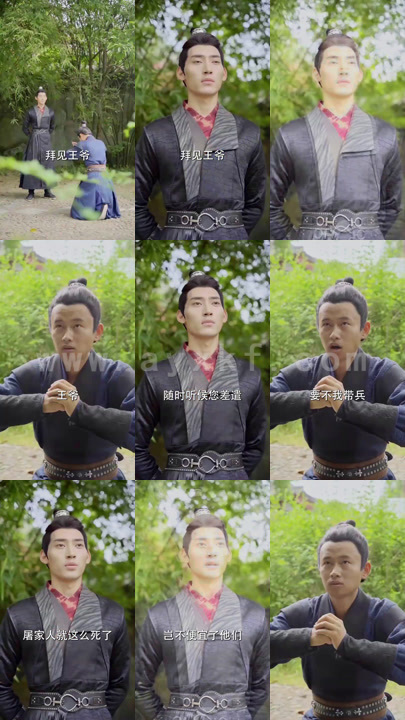 4409-我家夫君是异性王(92集)