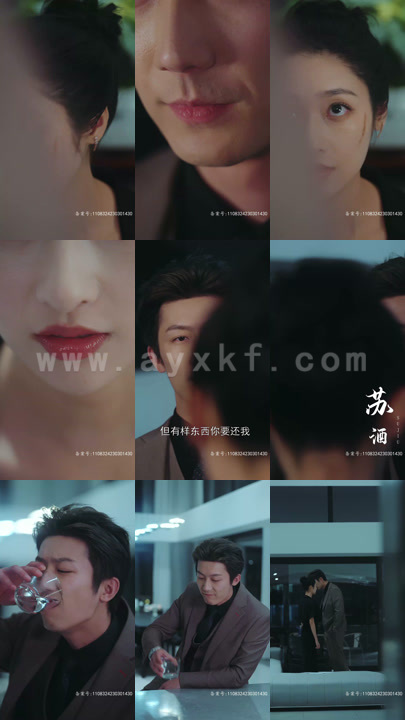 4304-幸福双宝养成记(89集)